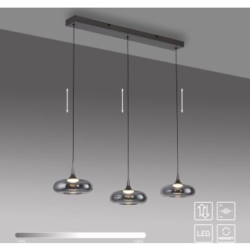 Paul Neuhaus POSH 15693-15 Závěsná lampa 3x6,3W/LED 3000k 1000lm ip20