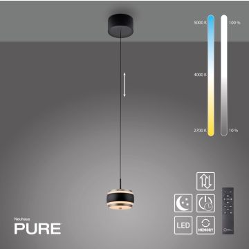 Paul Neuhaus PURE FALLING RINGS 2503-18 Závěsná lampa 1x8W/LED 2200-5000k 310lm ip20