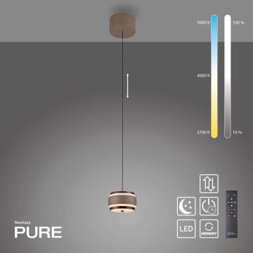Paul Neuhaus PURE FALLING RINGS 2503-97 Závěsná lampa 1x8W/LED 2200-5000k 310lm ip20