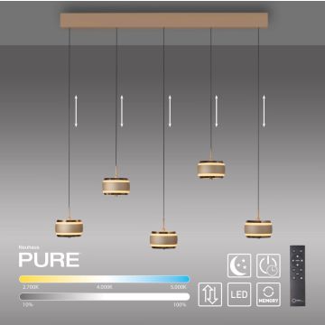 Paul Neuhaus PURE FALLING RINGS 2504-97 Závěsná lampa 5x8W/LED 2200-5000k 1500lm ip20