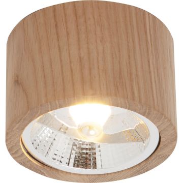 Zuma Line OAK 3010103 Nástěnné osvětlení 1x15W/GU10 Es111 IP20