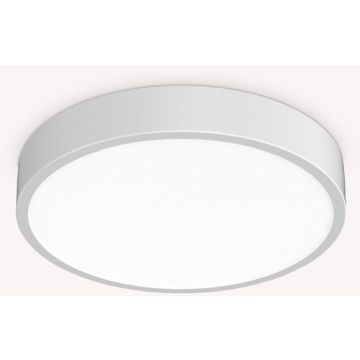 Ideal Lux RAY 318264 Stropní lampa 1x26W/LED ip44