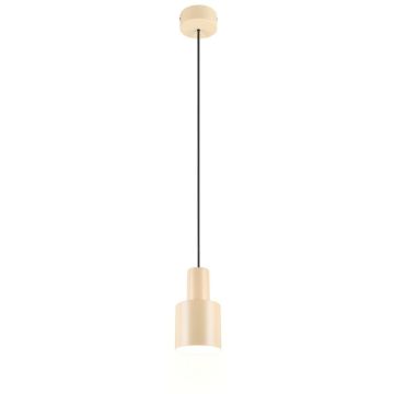Trio AGUDO 319400144 Závěsná lampa 1x10w/e27 ip20
