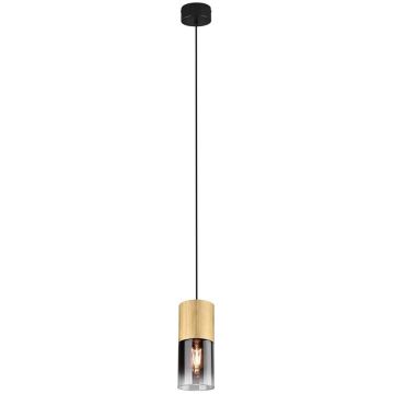 Trio ROBIN 310600154 Závěsná lampa 1x28w/e27 ip20