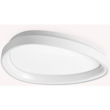 Ideal Lux GEMINI 328010 Stropní lampa 1x24W/LED 3000K ip20