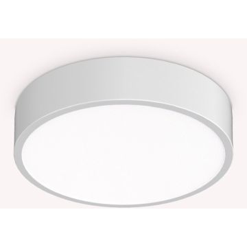 Ideal Lux RAY 327570 Stropní lampa 1x13W/LED ip44