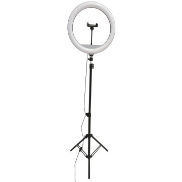 Polux SELFIE 327598 Stolní lampa 1x15W/LED 2700K-4000K-6000K 330lm IP20