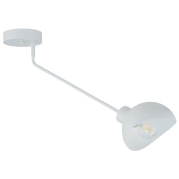 Sigma Lighting Roy 32428 Stropní lampa 1x15W/E27 IP20