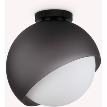Ideal Lux BLOOM 366609 Stropní lampa 1x42W/E27 ip20