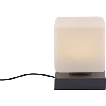 Paul Neuhaus DADOA 4036-13 Stolní lampa 1x7W/LED 3000k 580lm ip20