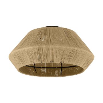 Eglo ALDERNEY 43784 Stropní lampa 1x40W/E27 IP20