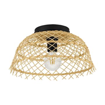 Eglo AUSNBY 43831 Stropní lampa 1x40W/E27 IP20