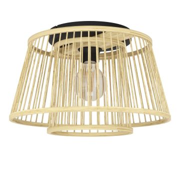 Eglo HYKEHAM 43851 Stropní lampa 1x40W/E27 ip20