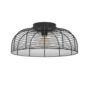 Eglo RINROE 43896 Stropní lampa 1x40W/E27 ip20