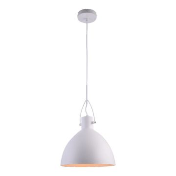Prezent ANDROS II. 46301 Závěsná lampa 1x40W/E27 IP20