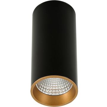 Italux Moldes Big BL/GO Ceiling 4000K SLC7392/12W 4000K BL+GO Nástěnné osvětlení 1x12W/LED 4000K 820lm IP20