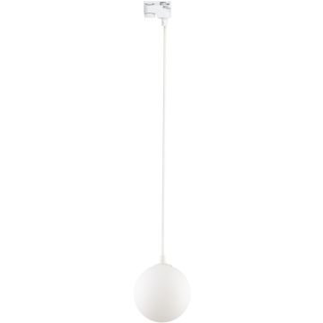 TK Lighting TRACER 4886 Kolejový reflektor 1x8W/G9 IP20