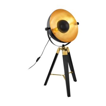 Eglo COVALEDA 49617 Stolní lampa 1x60W/E27