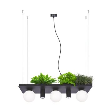 Zuma Line PLANT 5555 Závěsná lampa 40W/3xE14|2xgu10 IP20