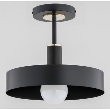 Alfa BERYT 60976 Stropní lampa 1x60W/E27 IP20