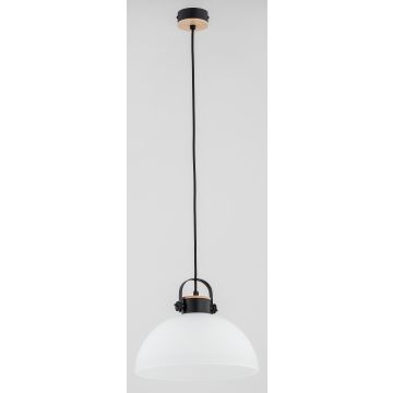 Alfa BOLO 60605 Závěsná lampa 1x60W/E27