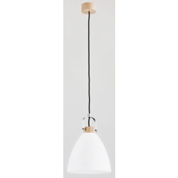 Alfa HERMINA 60365 Závěsná lampa 1x60W/E27 IP20