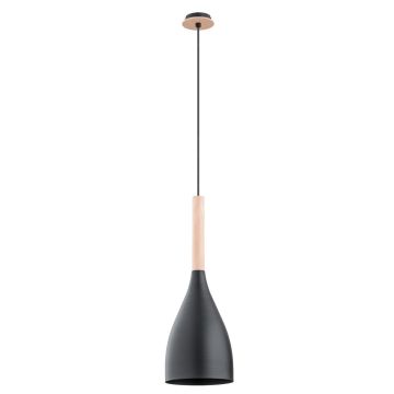Alfa JUICE 60722 Závěsná lampa 1x60W/E27 IP20