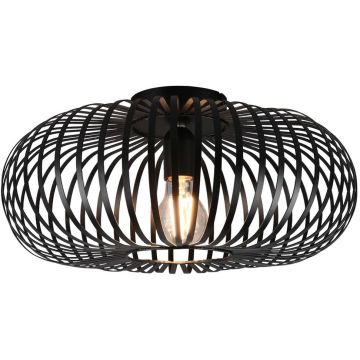 Trio JOHANN 606900132 Stropní lampa 1x60w/e27 ip20