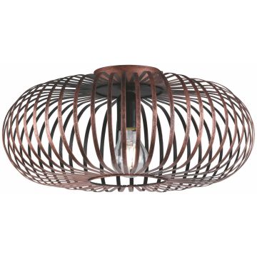 Trio JOHANN 606900162 Stropní lampa 1x60w/e27 ip20