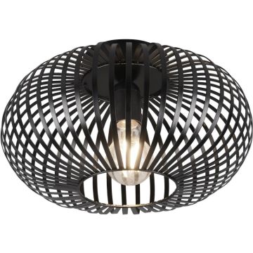 Trio JOHANN 606903032 Stropní lampa 1x60w/e27 ip20