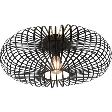 Trio JOHANN 606905032 Stropní lampa 1x60w/e27 ip20