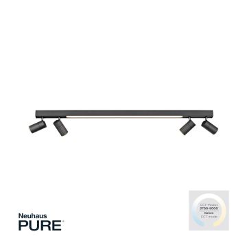 Paul Neuhaus PURE-LINE 6121-13 Bodové světlo 5x4W/LED CCT 2700K-3000K 1280LM IP20