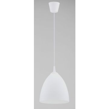 Alfa LERA 61326 Závěsná lampa 1x15W/E27 IP20