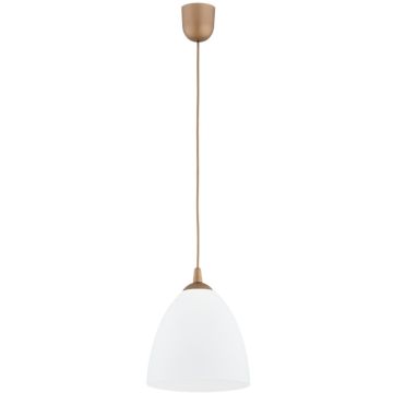 Alfa LERA 61465 Závěsná lampa 1x15W/E27
