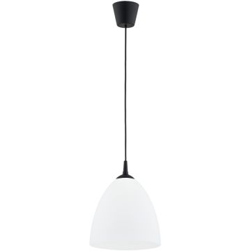 Alfa LERA 61466 Závěsná lampa 1x15W/E27