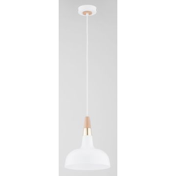 Alfa RODOS 61388 Závěsná lampa 1x15W/E27 IP20