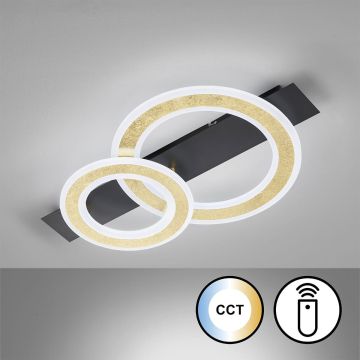 Fischer&Honsel Circle 21433 Stropní lampa 1x20W/LED 2700K 3100 lm IP20