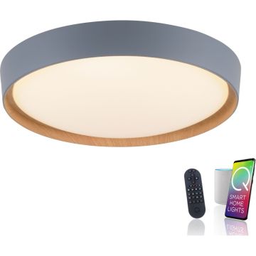 Paul Neuhaus Q-EMILIA 6118-15 Stropní lampa 1x40W/LED 2700-5000k 3720lm ip20