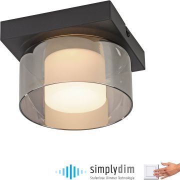 Paul Neuhaus RIKA 6162-18 Stropní lampa 1x6W/LED 3000k 680lm ip20