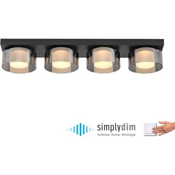 Paul Neuhaus RIKA 6164-18 Stropní lampa 4x24W/LED 3000k 3800lm ip20