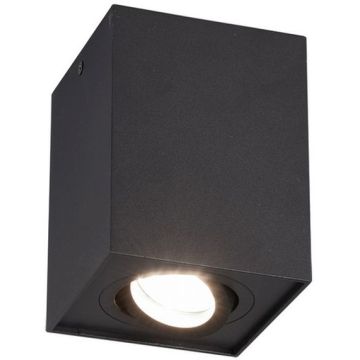 Trio BISCUIT 613000132 Nástěnné osvětlení 1x35w/gu10 ip20