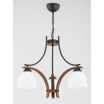Alfa BAFIA 62421 Závěsná lampa 3x15W/E27 IP20