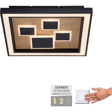 Paul Neuhaus ELIZA 6283-79 Stropní lampa 1x55W/LED 3000k 5760lm ip20