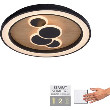 Paul Neuhaus ELIZA 6284-79 Stropní lampa 1x63W/LED 3000k 6620lm ip20
