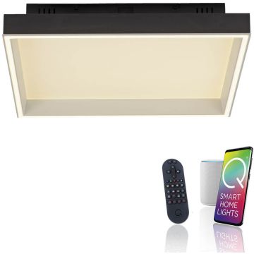 Paul Neuhaus Q-MAGONG 6316-18 Stropní lampa 1x40W/LED 2700-5000k 5700lm ip20