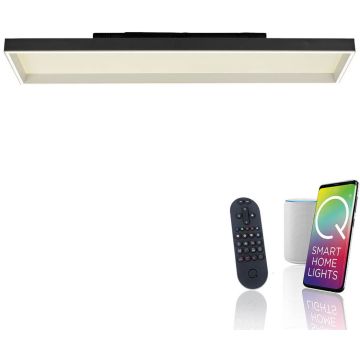 Paul Neuhaus Q-MAGONG 6317-18 Stropní lampa 1x52W/LED 2700-5000k 5800lm ip20