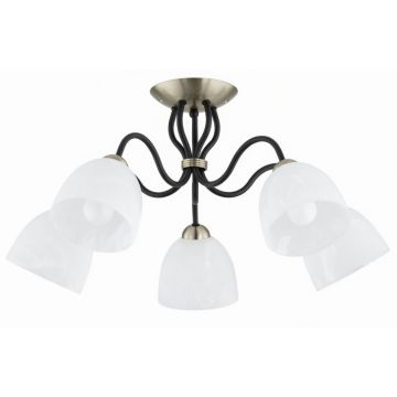 Alfa ARIEL 63428 Stropní lampa 5x15W/E27