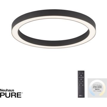 Paul Neuhaus PURE-LINES 6309-13 Stropní lampa 1x30W/LED 2700-5000k 2800lm ip20