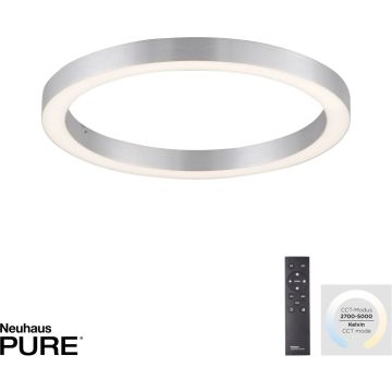Paul Neuhaus PURE-LINES 6309-95 Stropní lampa 1x30W/LED 2700-5000k 3300lm ip20