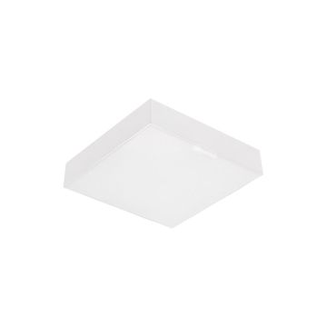 Prezent CANTO SQ 63215 Stropní lampa 1x10W/LED 800lm IP20